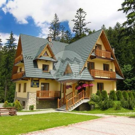 Willa U Zajacow I Zakopane Ngoại thất bức ảnh