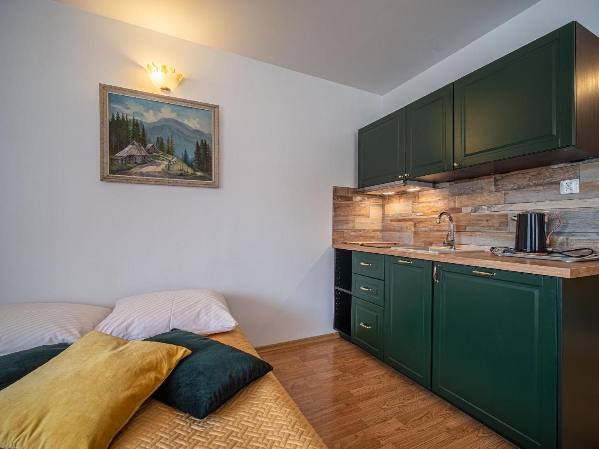 Willa U Zajacow I Zakopane Ngoại thất bức ảnh